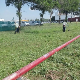 Dịch vụ trồng cây xanh 12