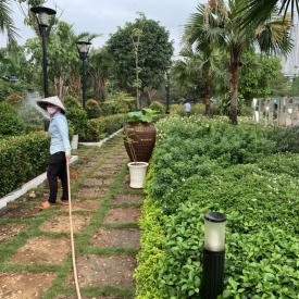 Báo Giá Chi Phí Chăm Sóc Cây Xanh Sân Vườn Hàng Tháng [2026]