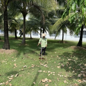 Dịch Vụ Chăm Sóc Cây Xanh Đồng Nai Chuyên Nghiệp, Toàn Diện