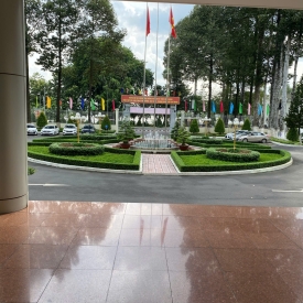 Dịch vụ trồng cây xanh 9