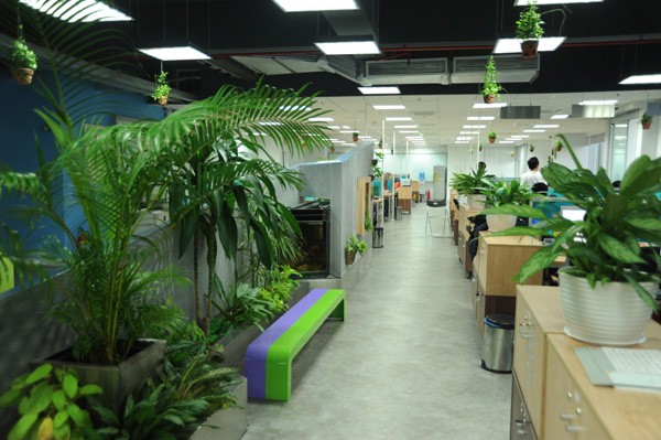 cham-soc-cay-xanh-van-phong