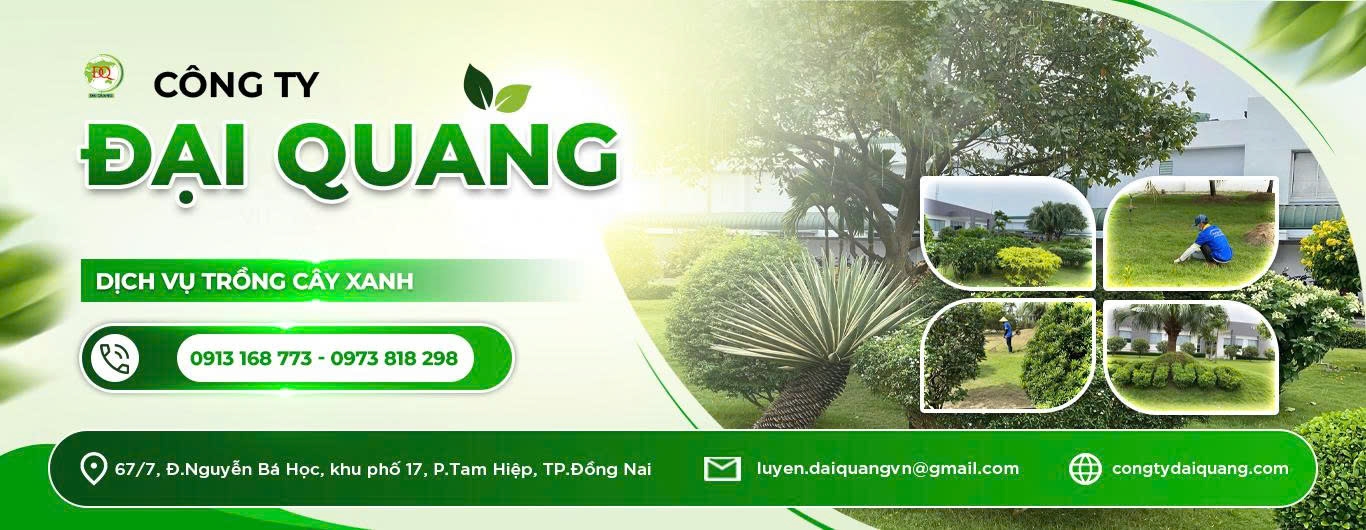 cong-ty-cham-soc-cay-xanh